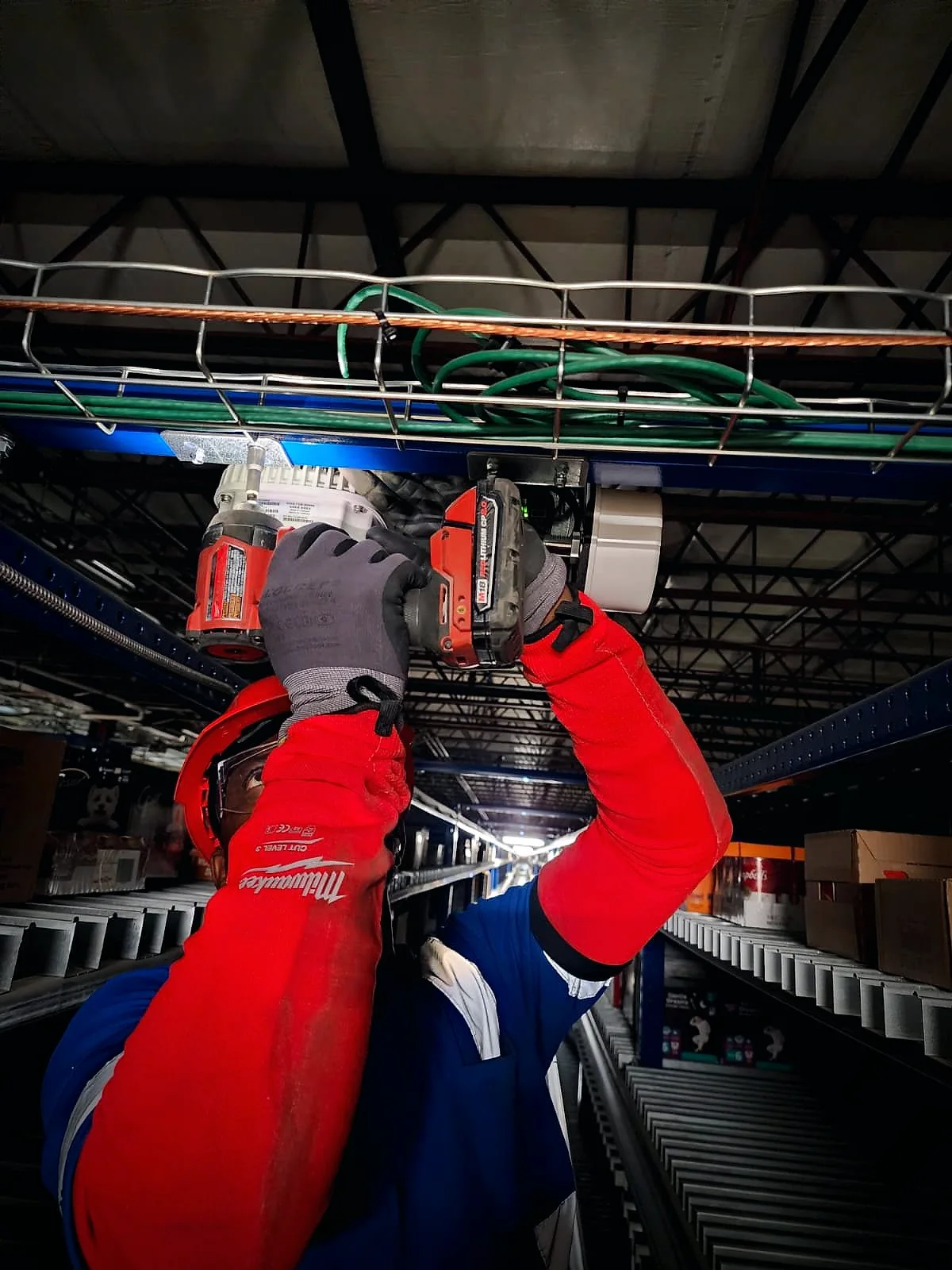ALOKAZOR technician mounting a wireless access point under a cable tray